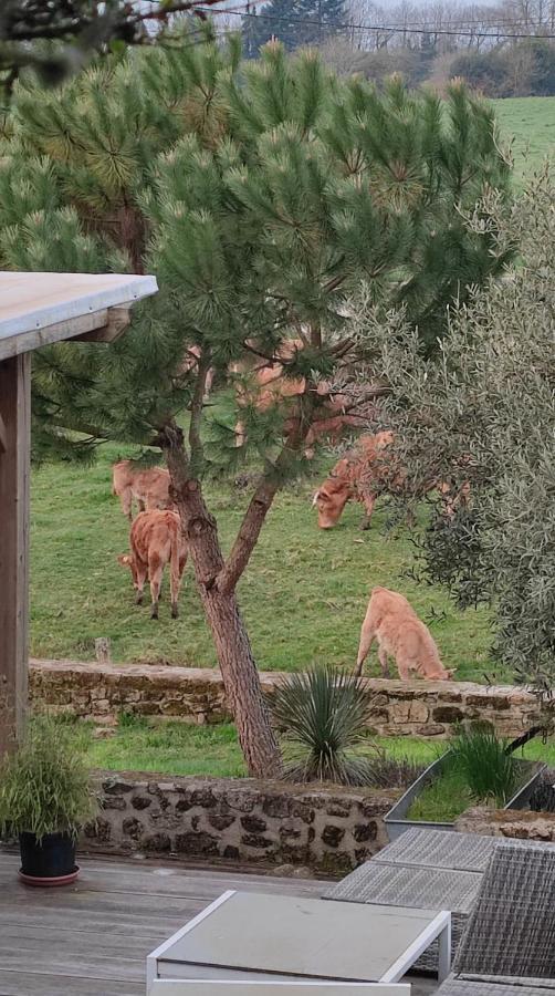 Gite A La Campagne Saint-Brice-sur-Vienne エクステリア 写真
